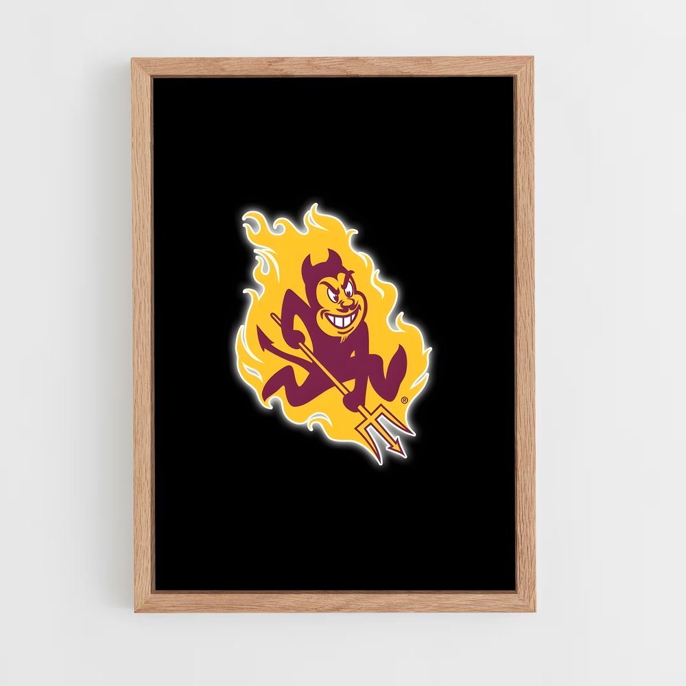 Poster Minnesota Spirit – affiche Baseball (vue 4)